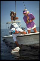 SaltWater Flyfishig, BlackTip Shark, Florida Keys_Hanson Carroll_0018