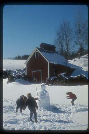 Vermont Winter Snowman Woodstock 004