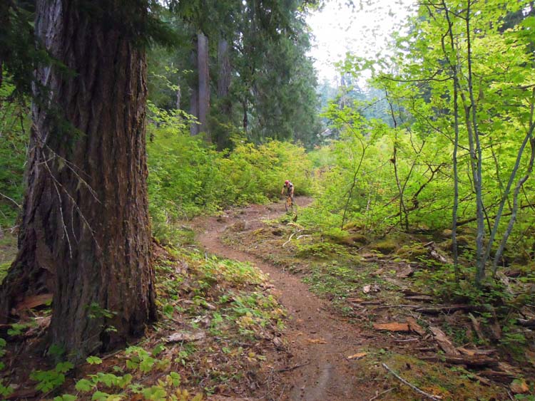 JFOTO-QuartzCreek MountainBiking6580