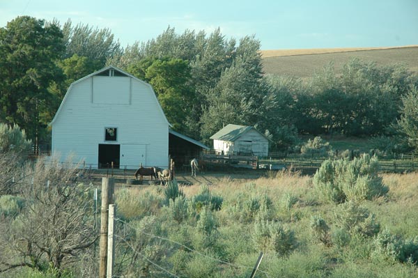 JFoto 0488a Locust Hollow White Glider Barn