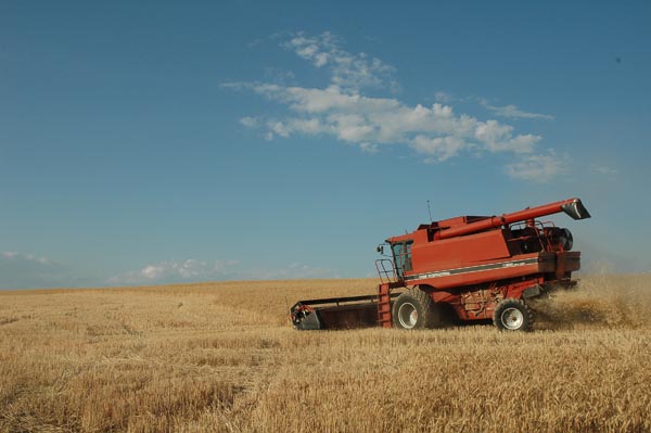 JFoto 0472 Harvest started 7-21