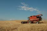 JFoto 0472 Harvest started 7-21