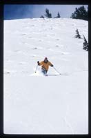 JFoto Ski TeleLucas4