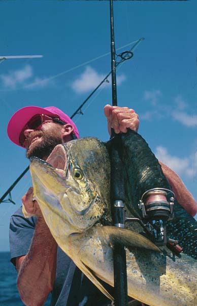 Bull Mahi-Mahi,Dorado, Dolphin fish, CharterBoat Fishing, Florida Keys_Hanson Carroll_101