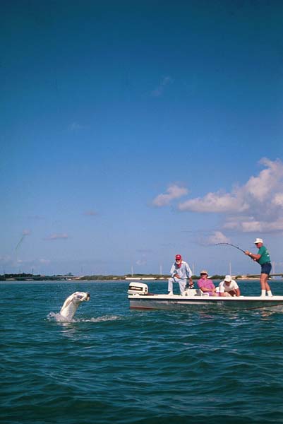 Tarpon Jumping, Florida Keys_Hanson Carroll_080