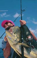 Bull Mahi-Mahi,Dorado, Dolphin fish, CharterBoat Fishing, Florida Keys_Hanson Carroll_101