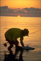 Hanson Carroll_ BoneFish,Flyfishing, Release, Islamorada, Forida Keys_0024