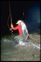 Tarpon Landing by Tim Borski, FlyFishing, Florida Keys, _Hanson Carroll_0013