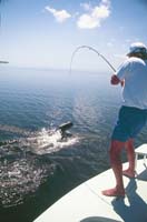 Tarpon, FlyFishing, Florida Keys, Backcountry_Hanson Carroll_024