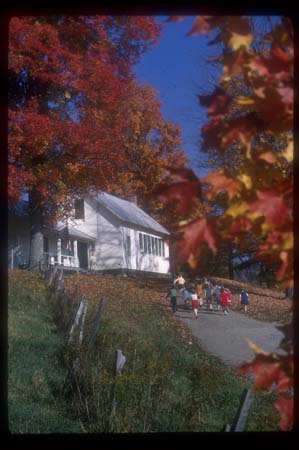 Vermont Fall  042