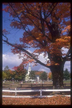 Vermont Fall Norwich  043