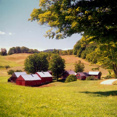 Vermont Summer JenneyFarm 010 M