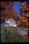 Vermont Fall  042